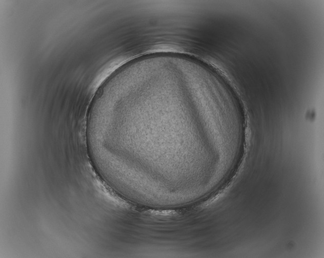 X0000111121129200907211044