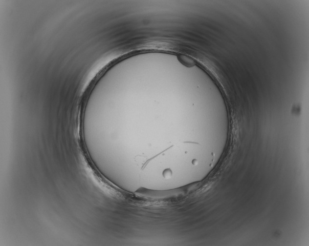 X0000111121131200907211044