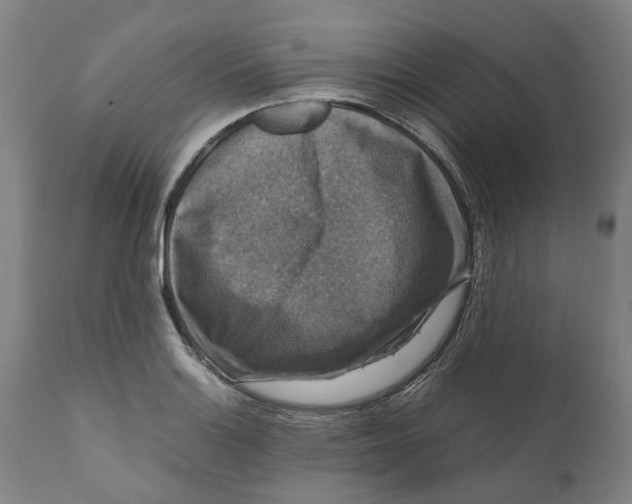 X0000111121132200907211044