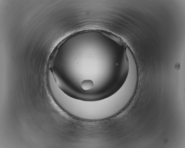 X0000111121134200907211044