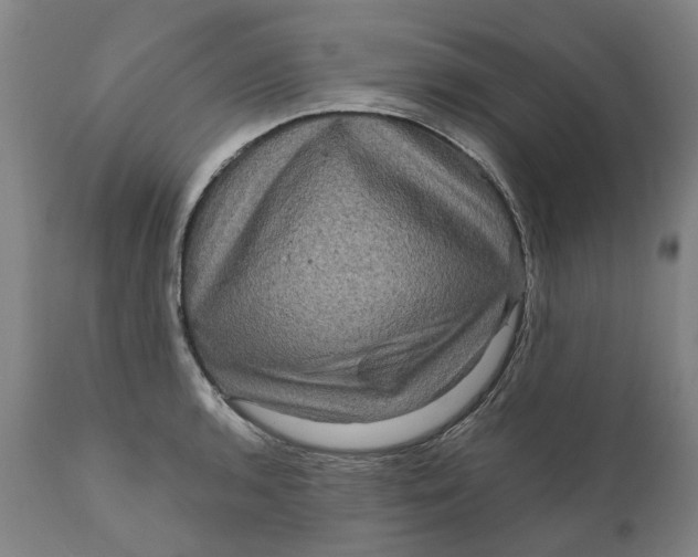 X0000111121136200907211044