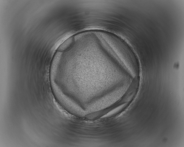 X0000111121137200907211044