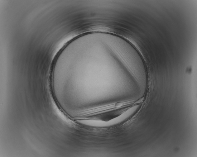 X0000111121139200907211044