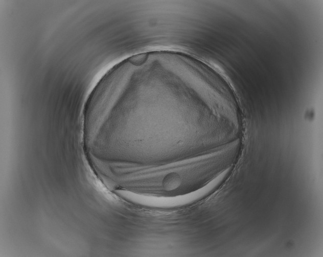 X0000111121140200907211044