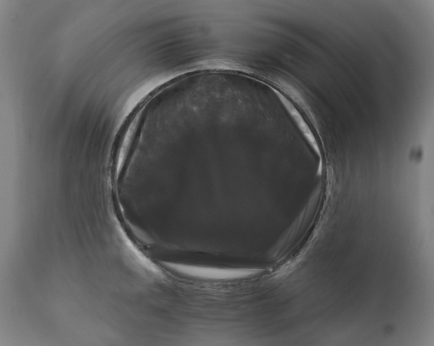 X0000111121141200907211044