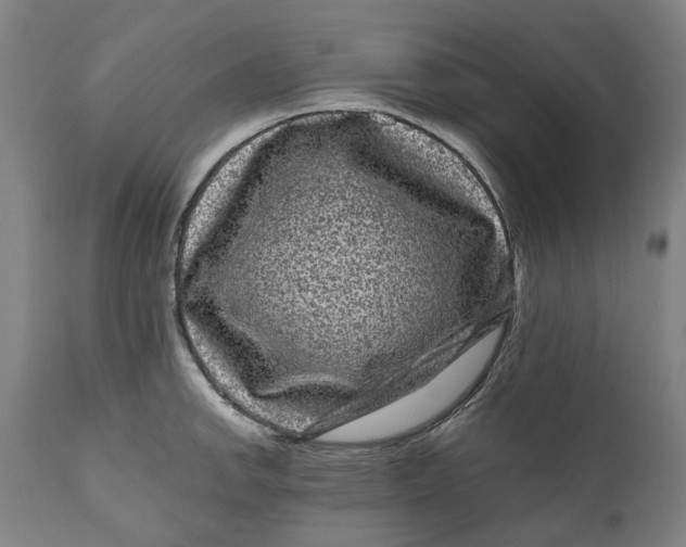 X0000111121142200907211044