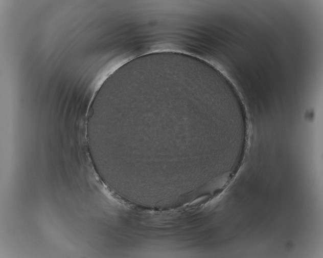 X0000111121145200907211044