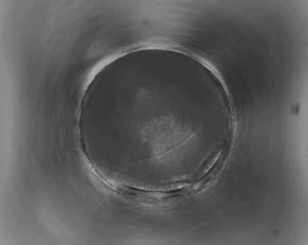 X0000111121146200907211044