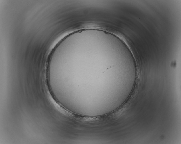 X0000111121147200907211044