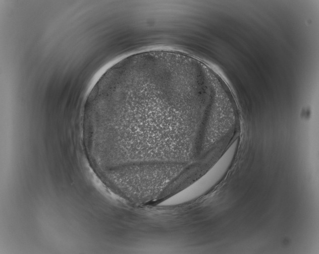 X0000111121148200907211044