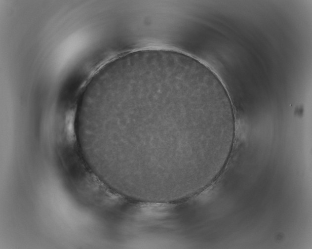 X0000111121150200907211044