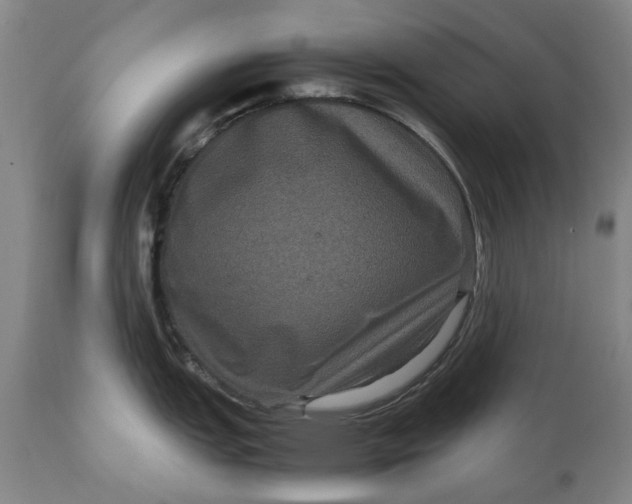 X0000111121151200907211044