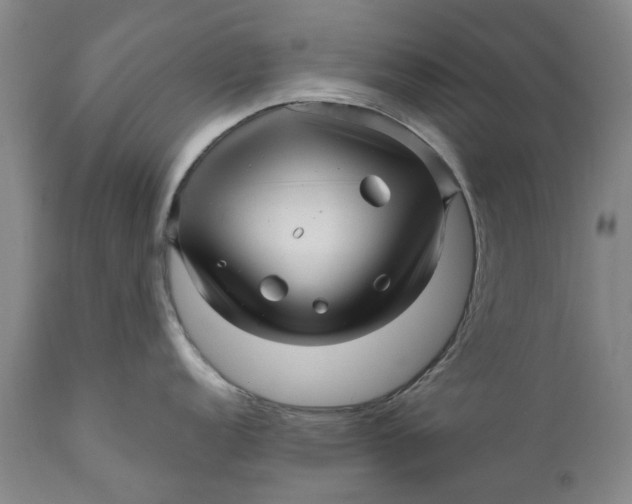 X0000111121152200907211044