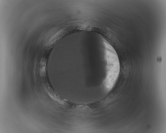 X0000111121154200907211043