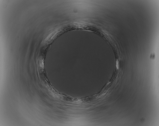 X0000111121155200907211043