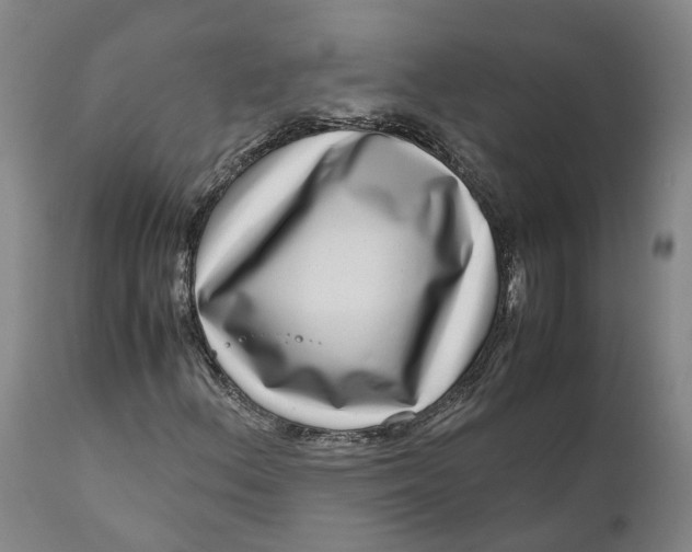 X0000111121156200907211043