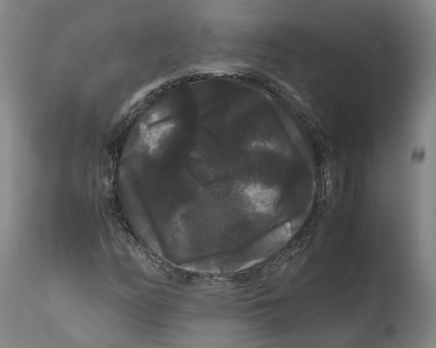 X0000111121158200907211043