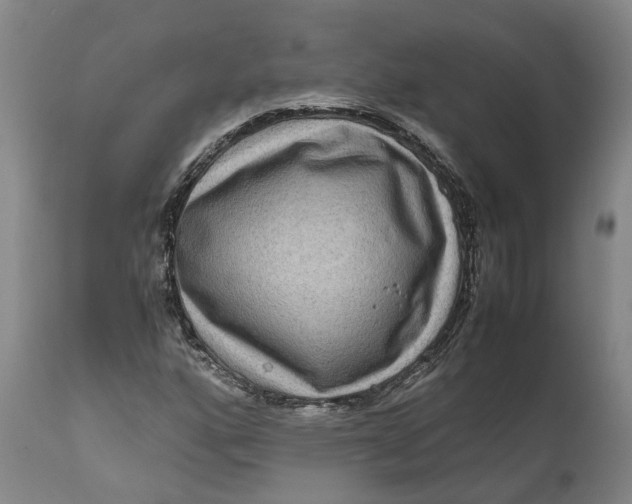 X0000111121160200907211043