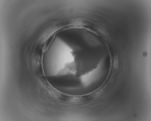 X0000111121161200907211043