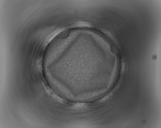 X0000111121162200907211043