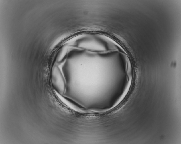 X0000111121163200907211043