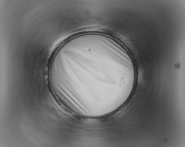 X0000111121164200907211043