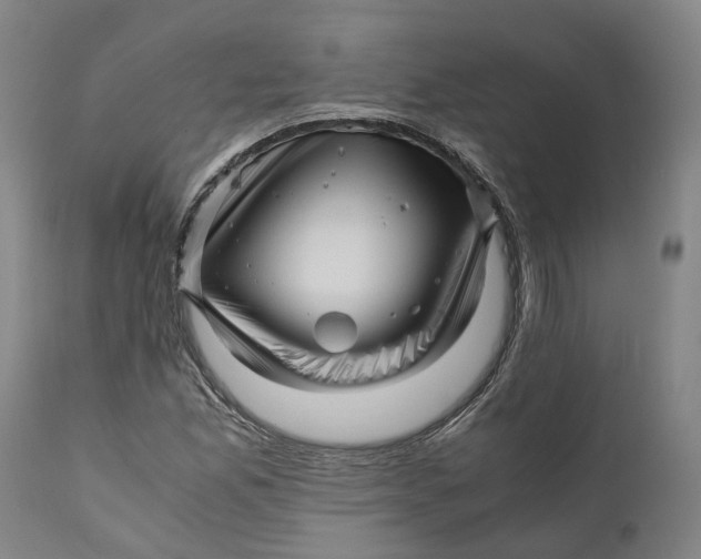 X0000111121165200907211043