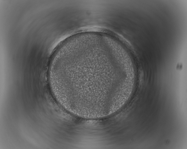 X0000111121166200907211043