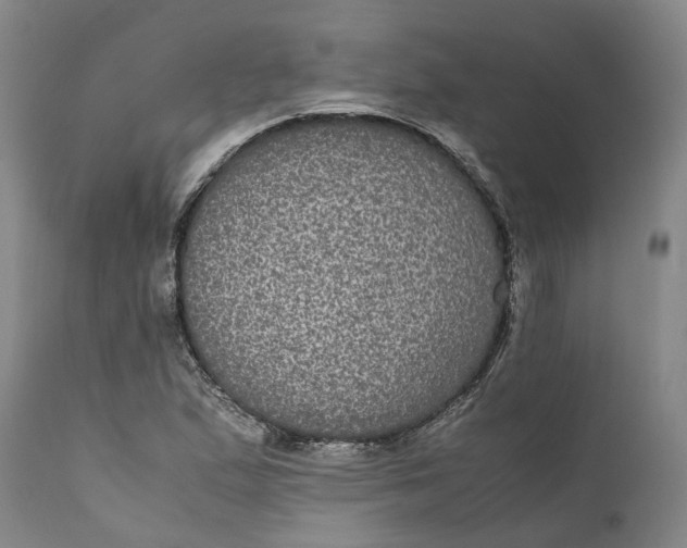 X0000111121167200907211043