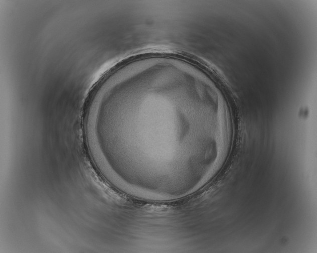 X0000111121168200907211043