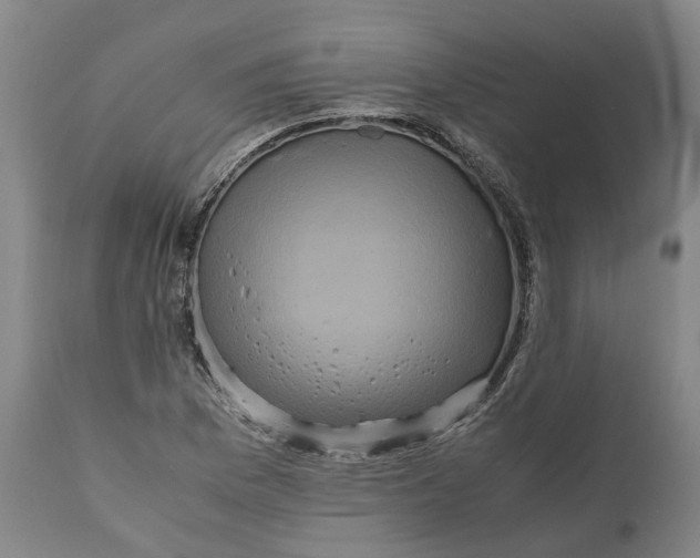 X0000111121169200907211043