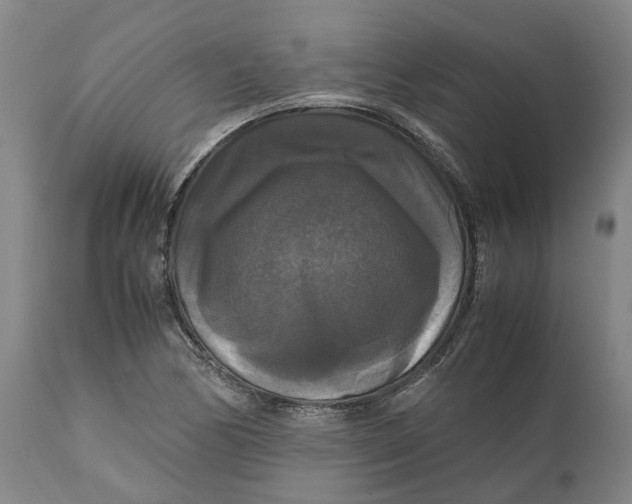 X0000111121170200907211043