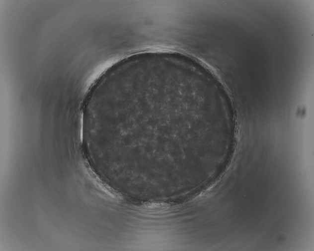 X0000111121171200907211043