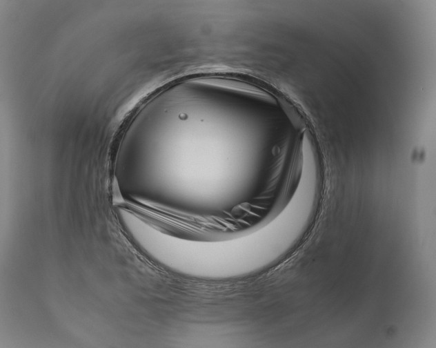 X0000111121173200907211043