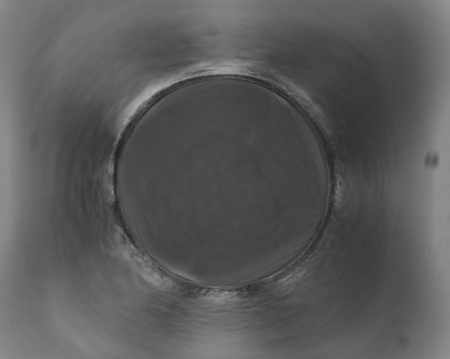 X0000111121174200907211043