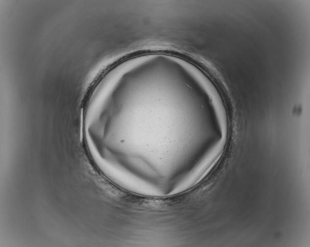 X0000111121175200907211043