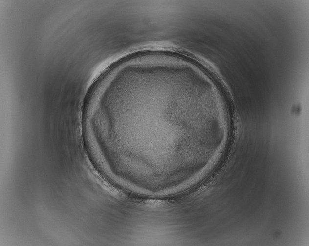 X0000111121176200907211043