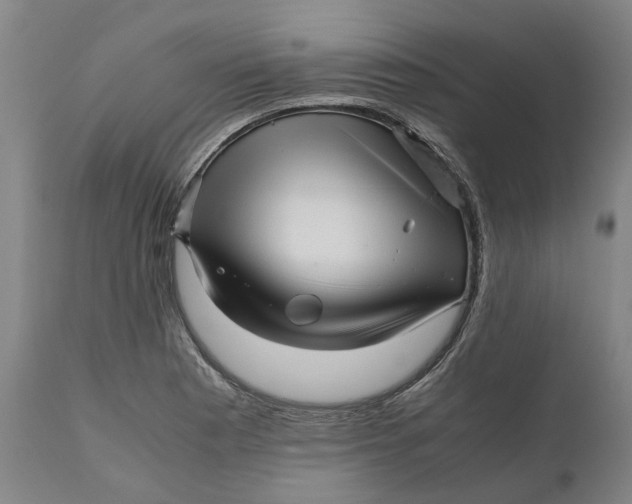 X0000111121177200907211043