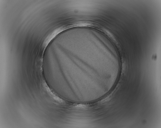 X0000111121178200907211043