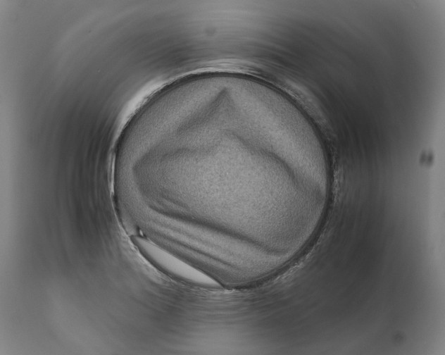 X0000111121180200907211043