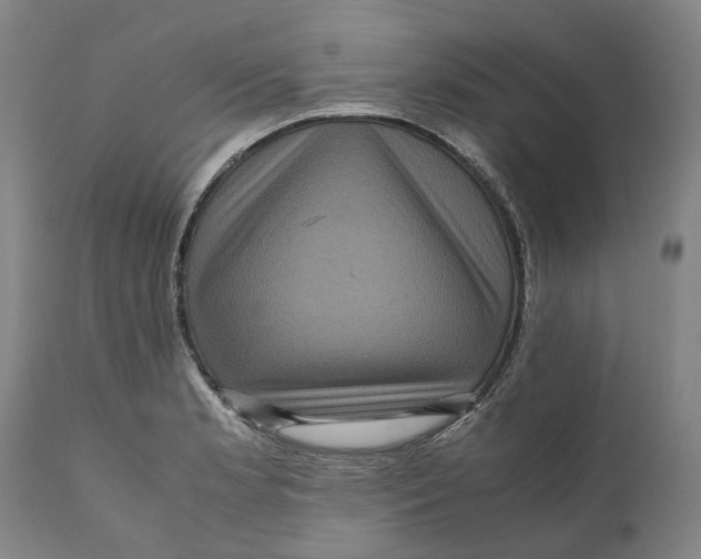 X0000111121181200907211043