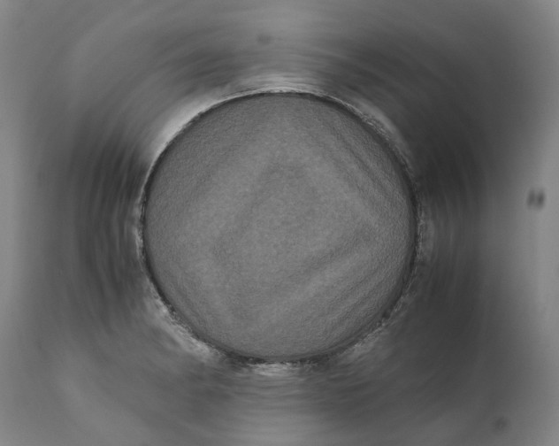 X0000111121182200907211043