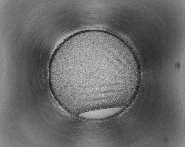 X0000111121184200907211043