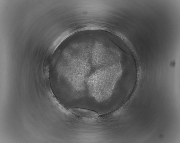 X0000111121185200907211043