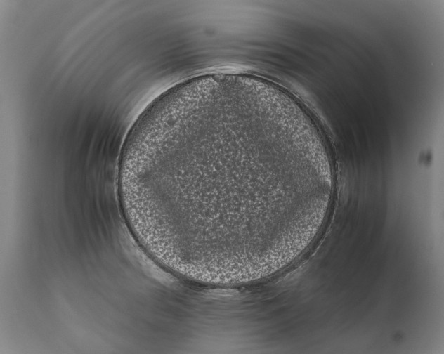 X0000111121186200907211043