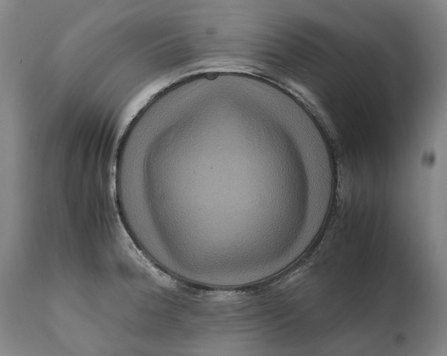 X0000111121188200907211043