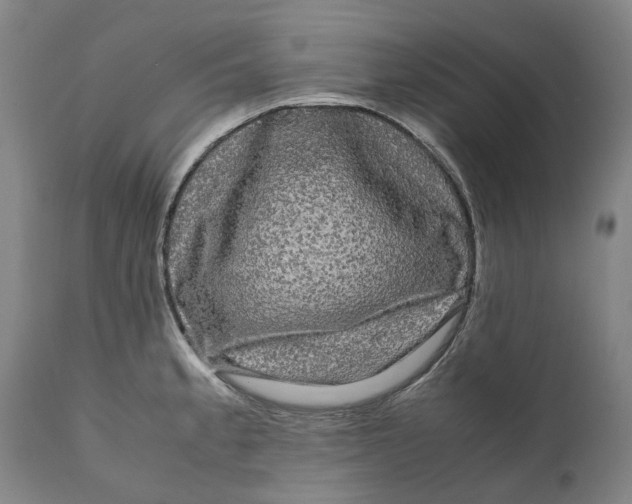 X0000111121189200907211043