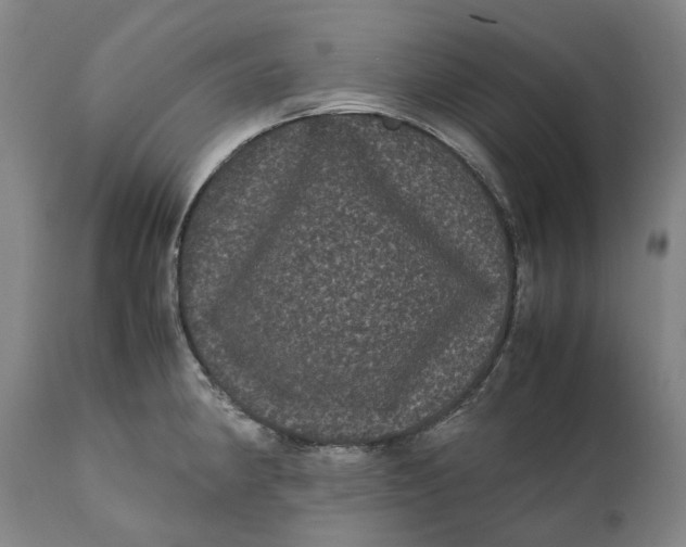 X0000111121190200907211043