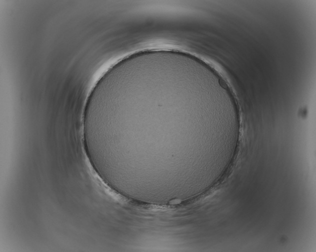 X0000111121191200907211043