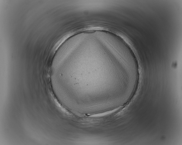 X0000111121193200907211043